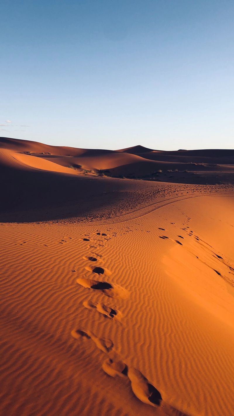 desert_sand_footprint_131231_800x1420